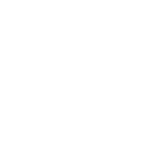 Logo Renopaul stylisé